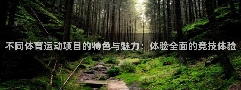 风动体育收费吗