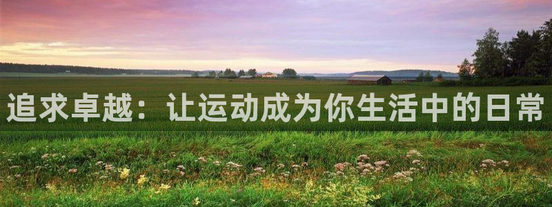 风动体育