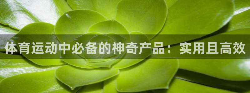 风动体育彩票