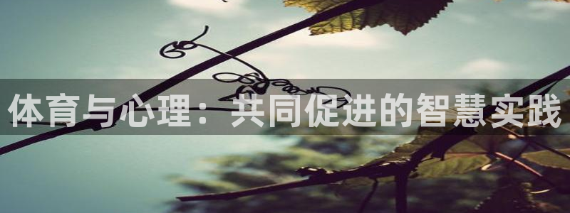 风动体育官网：体育与心理：共同促进的智慧实践