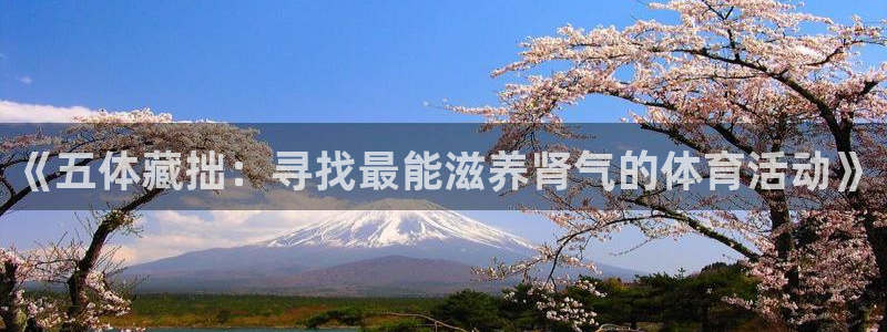 风动体育app官方下载：《五体藏拙：寻找最能滋养肾气的体育活动》